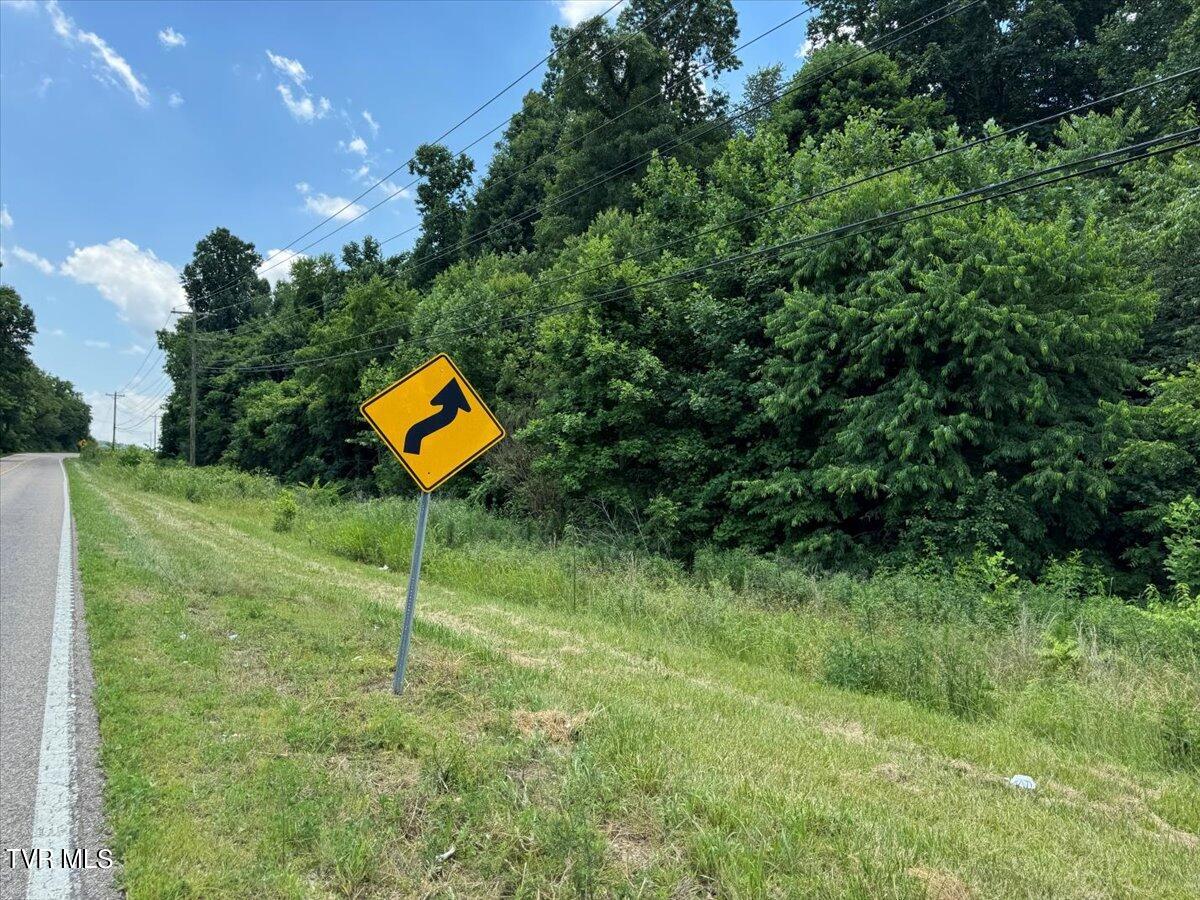 Tbd Tbd Rheatown Road Greeneville, TN 37745 - Photo 22 of 25 51-IMG_8616