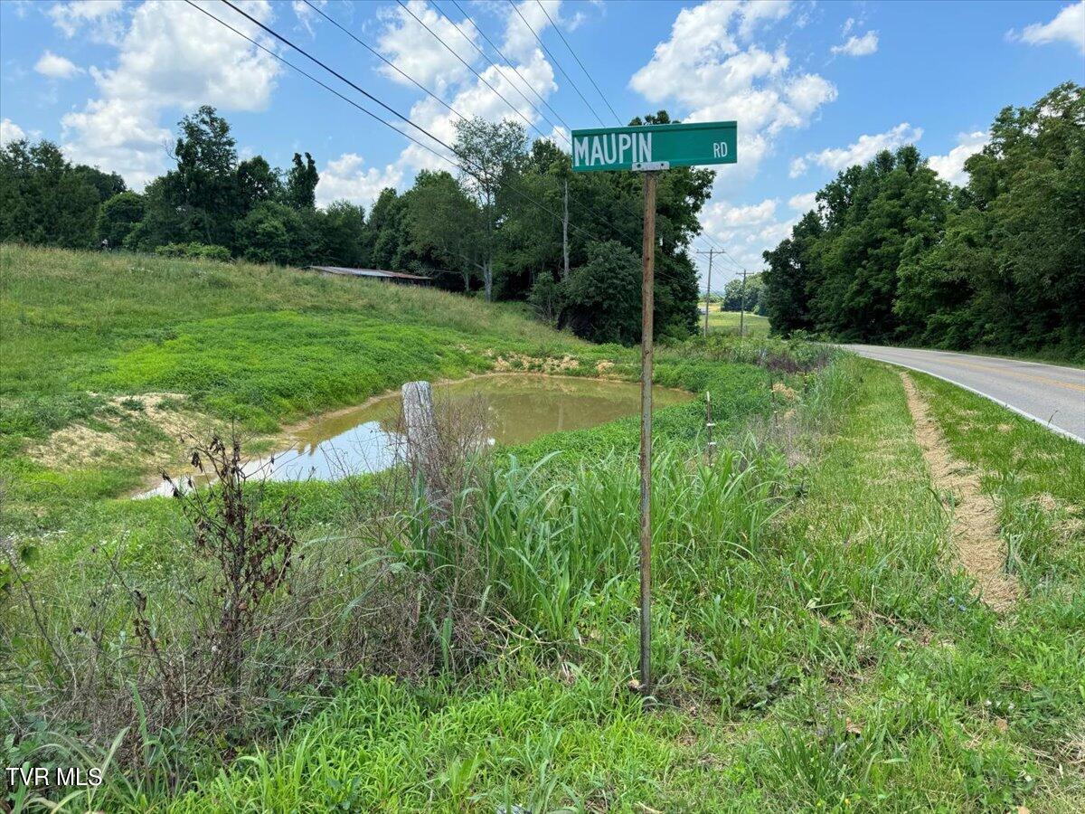 Tbd Tbd Rheatown Road Greeneville, TN 37745 - Photo 23 of 25 61-IMG_8633