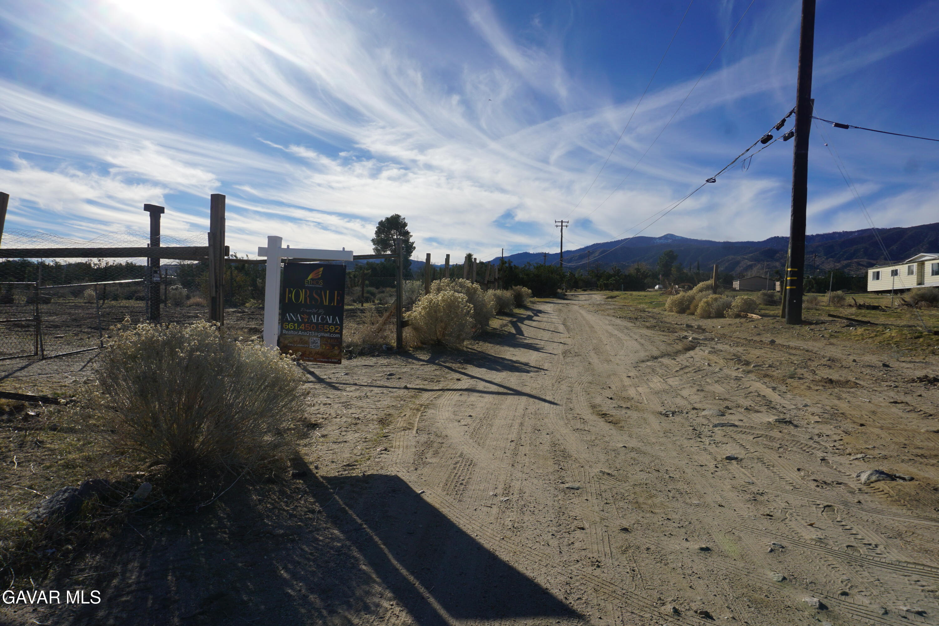 10057 Ash Road Pinon Hills, CA 92372 - Photo 3 of 6 a view of a yard