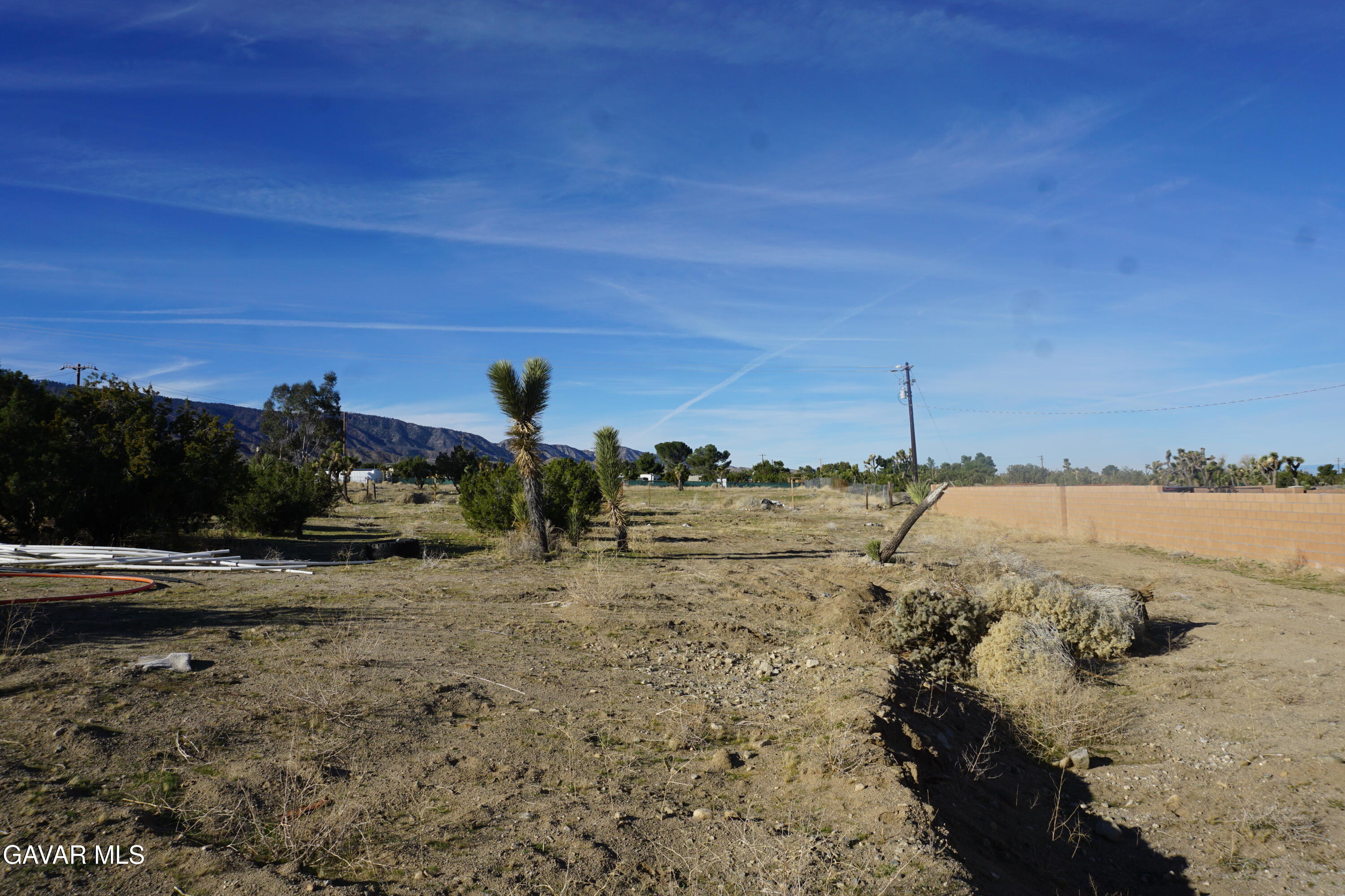 10057 Ash Road Pinon Hills, CA 92372 - Photo 6 of 6 a view of a beach and ocean view