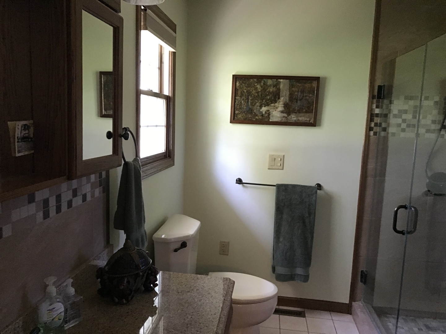 115 Seneca Lane Loda, IL 60948 - Photo 11 of 21 a bathroom with a toilet and a shower