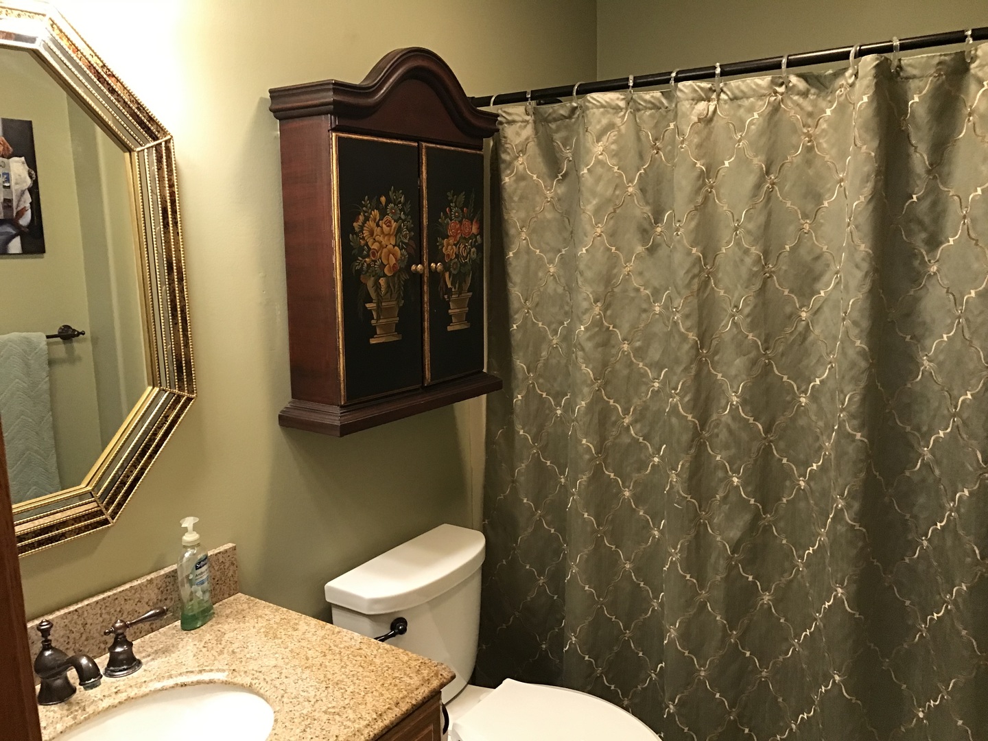 115 Seneca Lane Loda, IL 60948 - Photo 9 of 21 a bathroom with a sink and a mirror