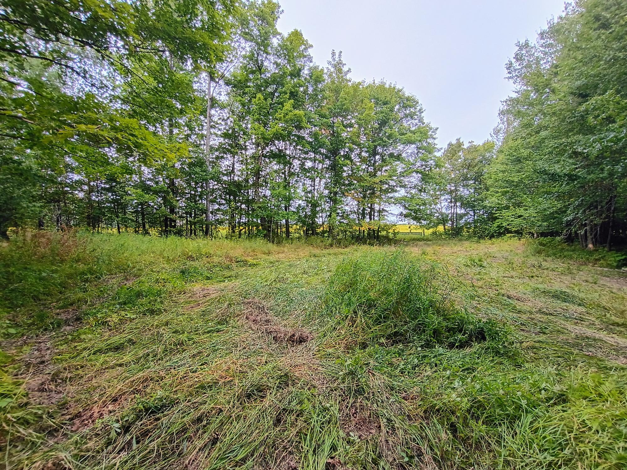 280-ac West Road Butternut, WI 54514 - Photo 29 of 33 Gallery Image 29