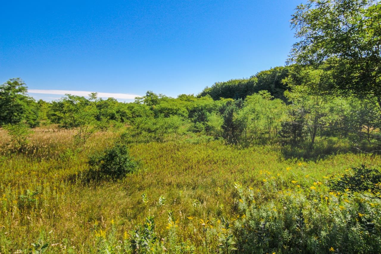 A3 Wallaker Road, Unit LOT: A3 Benzonia, MI 49616 - Photo 8 of 17