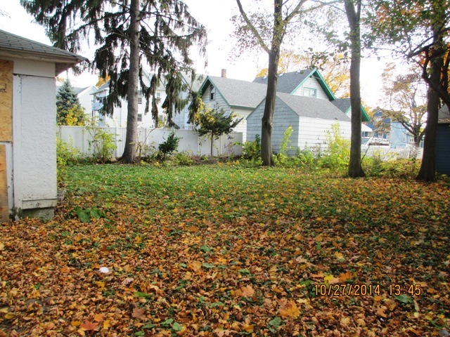 459 North Spring Street Elgin, IL 60120 - Photo 4 of 6 a view of a yard with plants and trees