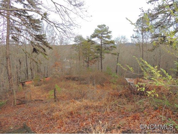 160 Ken Tom Road Old Fort, NC 28762 - Photo 17 of 22 Gallery Image 17