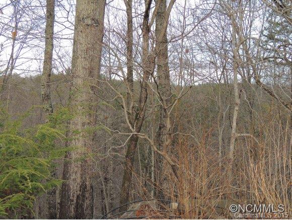160 Ken Tom Road Old Fort, NC 28762 - Photo 5 of 22 Gallery Image 5