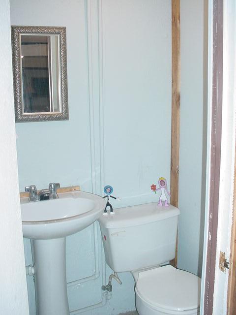 304 Highfield Road Salem, VA 24153 - Photo 8 of 17 Downstairs bathroom