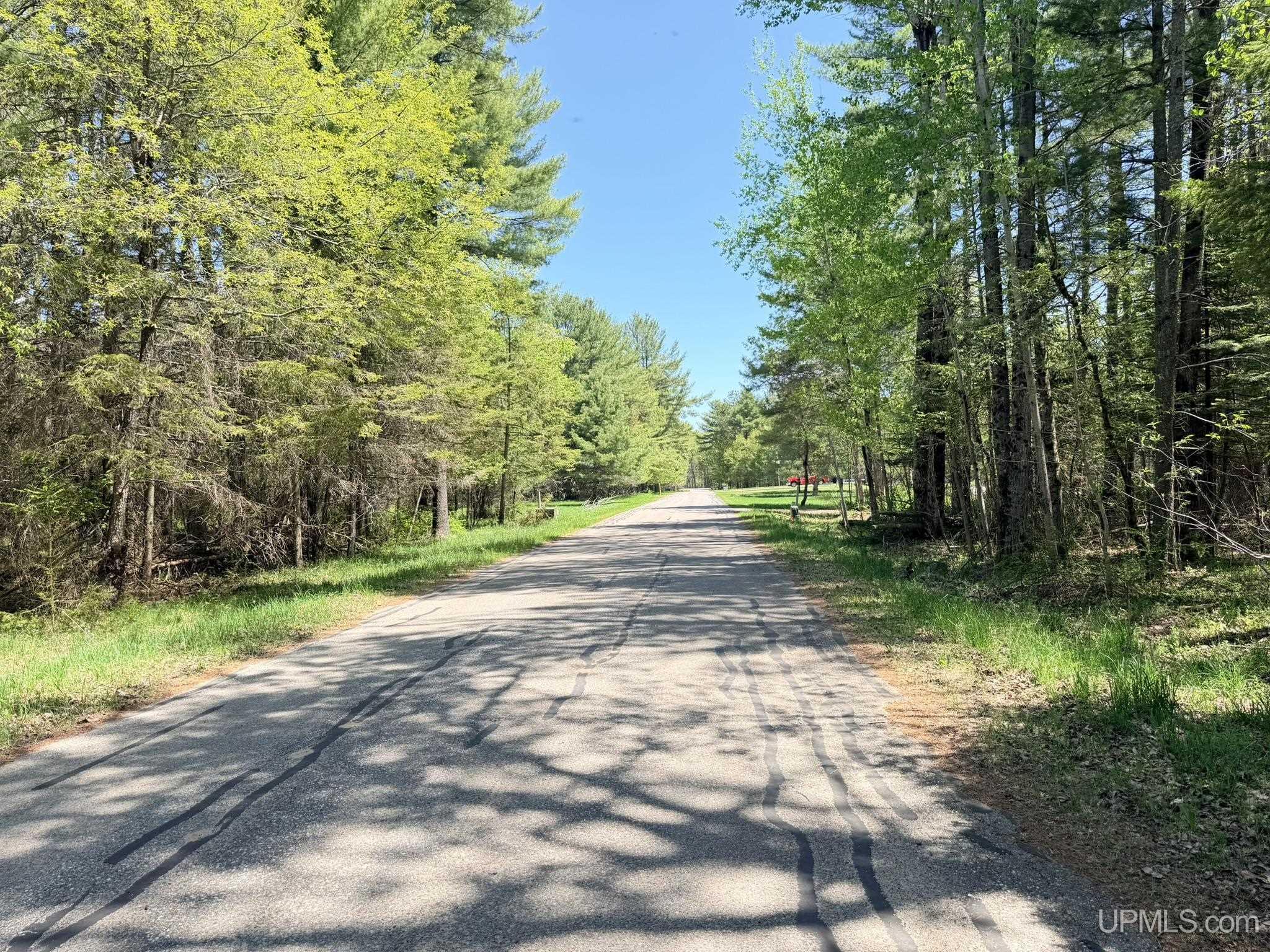 Tbd Pine Ridge Road Manistique, MI 49854 - Photo 11 of 20