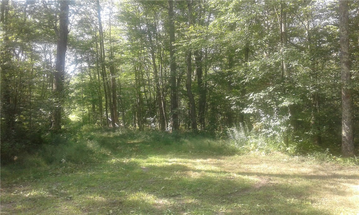 0 Walker Road Foster, RI 02825 - Photo 2 of 4