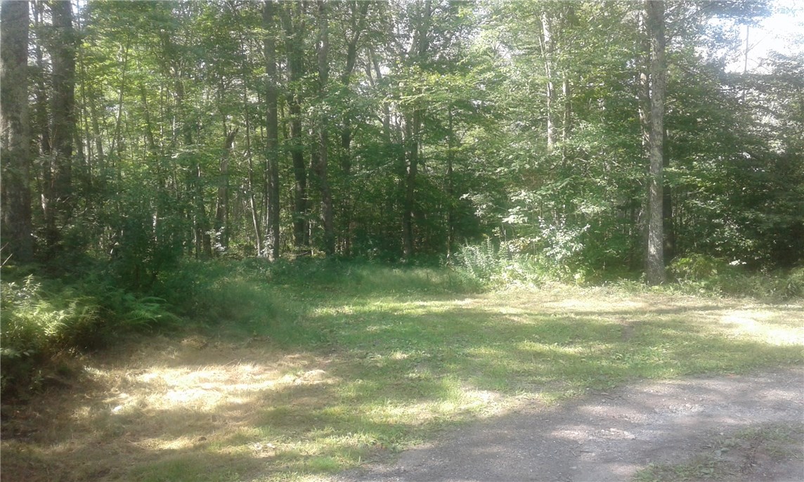 0 Walker Road Foster, RI 02825 - Photo 3 of 4