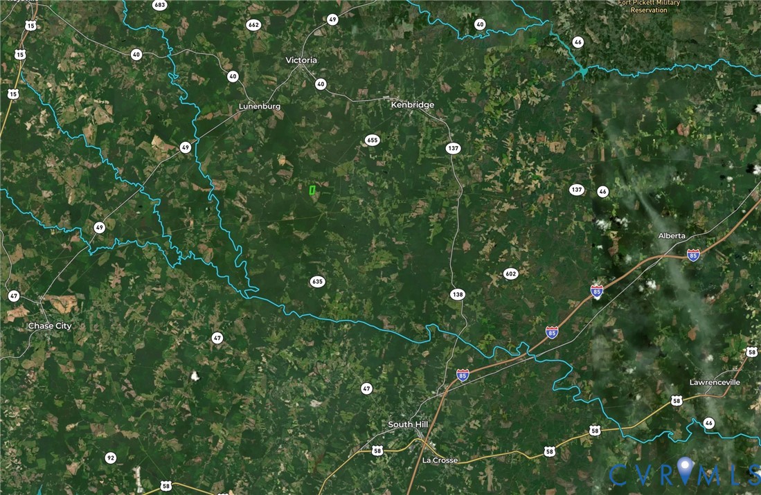 0 New Grove Road Kenbridge, VA 23944 - Photo 9 of 9 a view of flowers in bunch