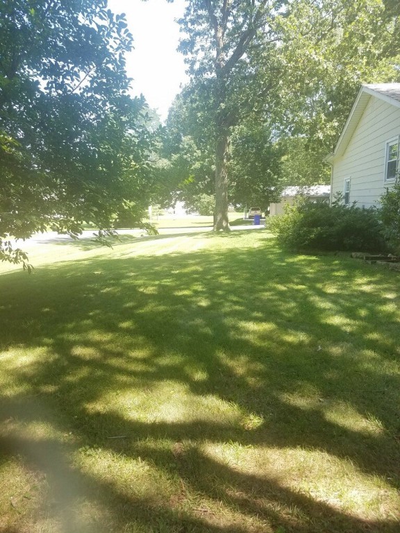 45 North Lynette Drive Decatur, IL 62526 - Photo 5 of 11 a view of a trees in a yard