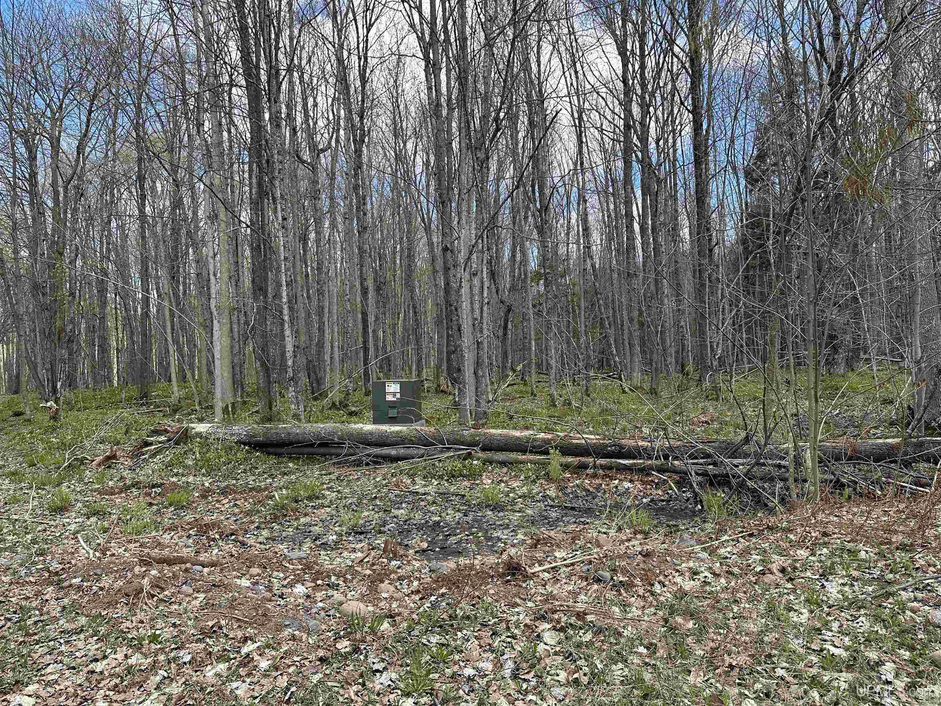 Off East Shore Road Marenisco, MI 49947 - Photo 10 of 11