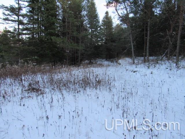 Tbd Tbd Tower Perkins, MI 49872 - Photo 19 of 22