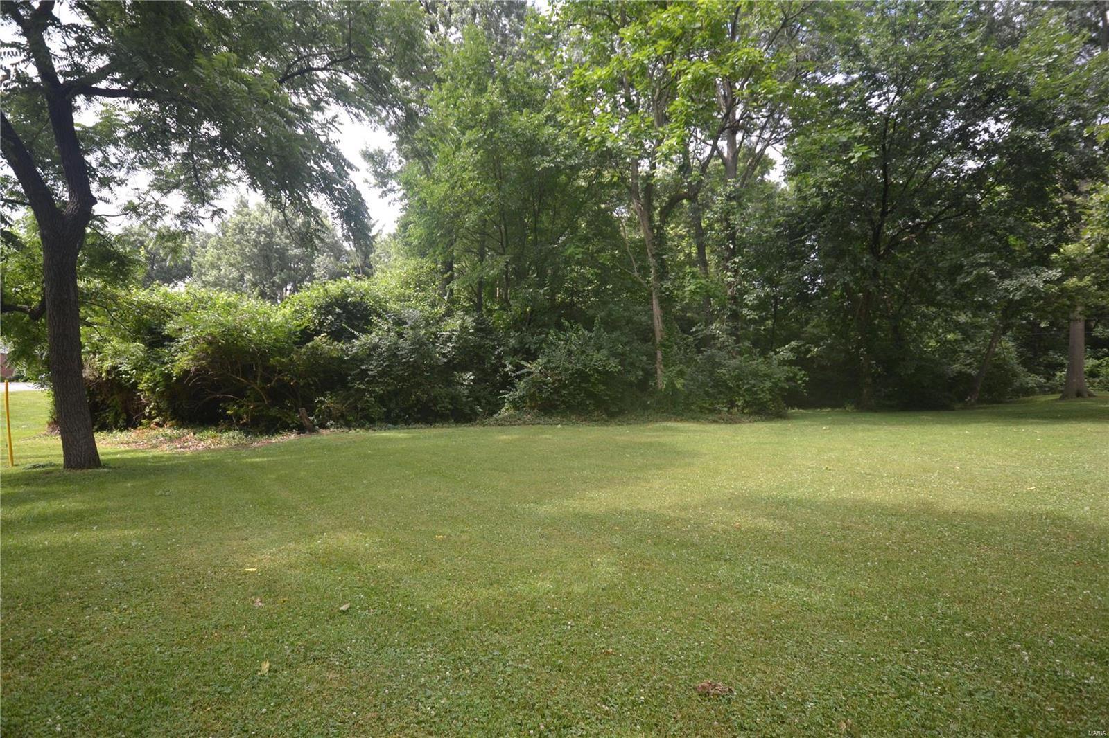 8 Dexter Lane Belleville, IL 62221 - Photo 5 of 19
