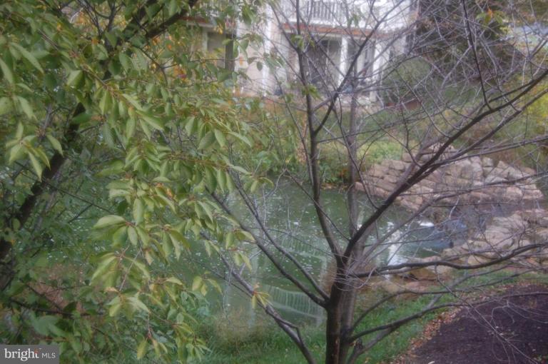 20600 Cornstalk Terrace, Unit 202 Ashburn, VA 20147 - Photo 12 of 12 a view of a tree in a yard