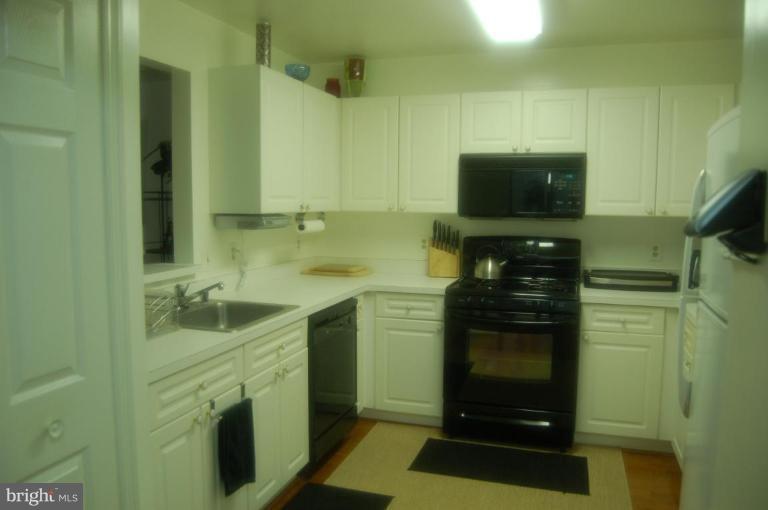 20600 Cornstalk Terrace, Unit 202 Ashburn, VA 20147 - Photo 10 of 12 a kitchen with a sink and a stove top oven