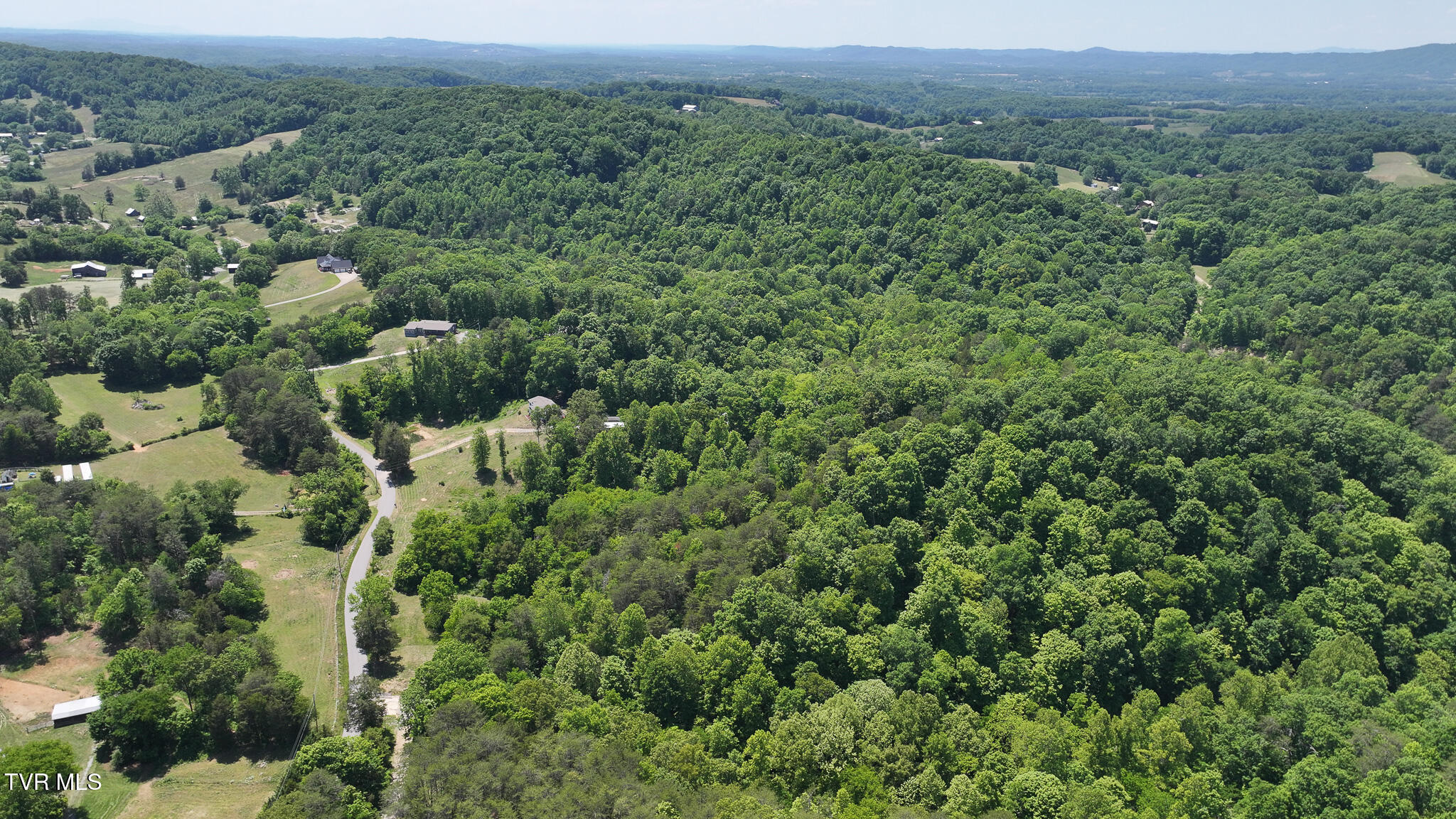 1475 Davis Valley Road Afton, TN 37616 - Photo 61 of 67 61