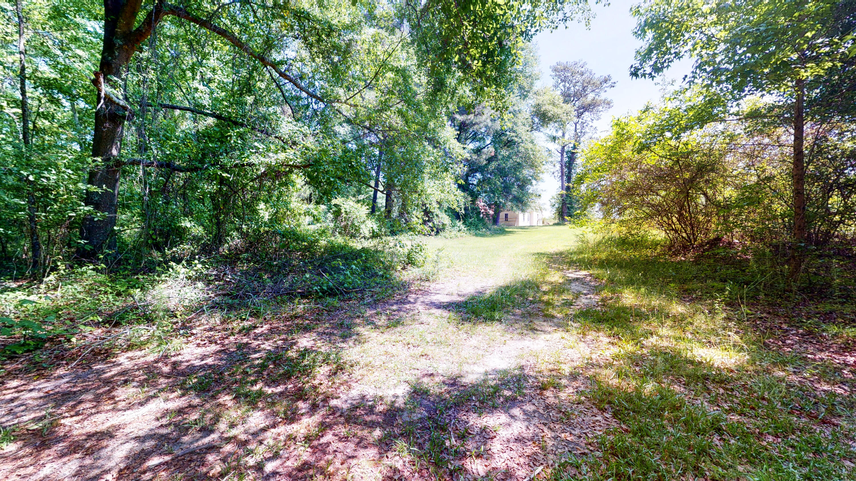 260 Holmes Pond Road Johnston, SC 29832 - Photo 13 of 16