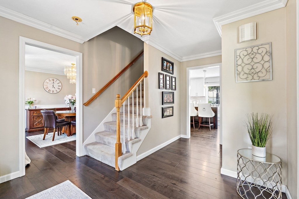 20 Anna Road Franklin, MA 02038 - Photo 3 of 42