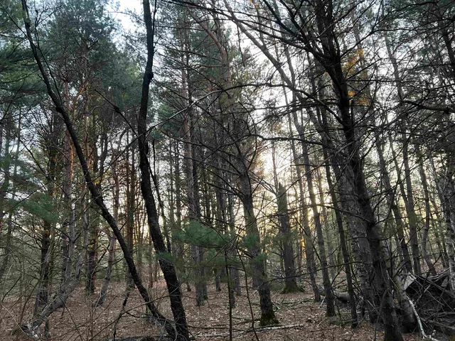 $98,500 | N8503 County Highway North, Neshkoro, WI 54960