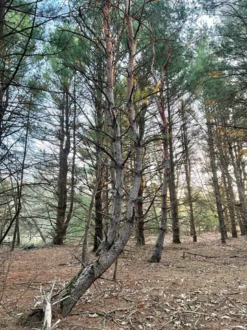 $98,500 | N8503 County Highway North, Neshkoro, WI 54960