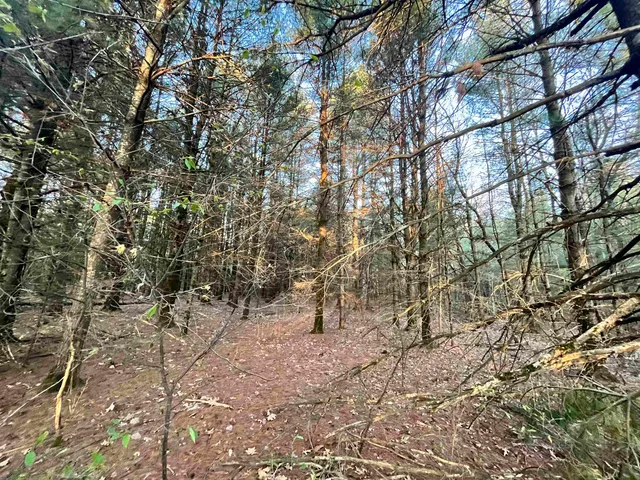 $98,500 | N8503 County Highway North, Neshkoro, WI 54960