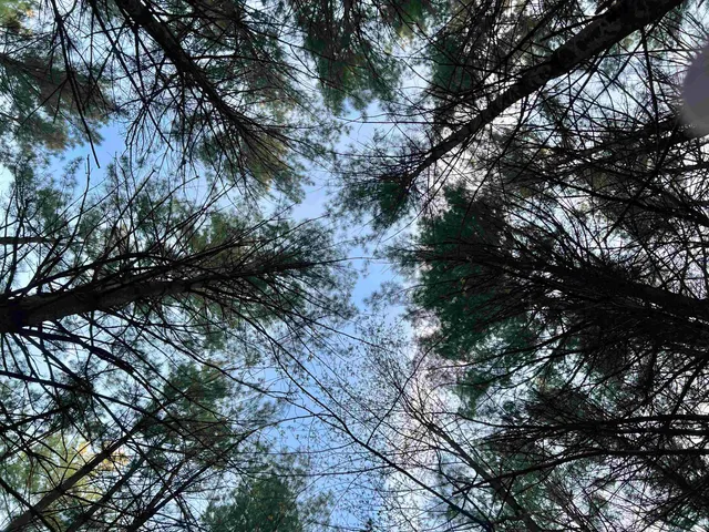 $98,500 | N8503 County Highway North, Neshkoro, WI 54960