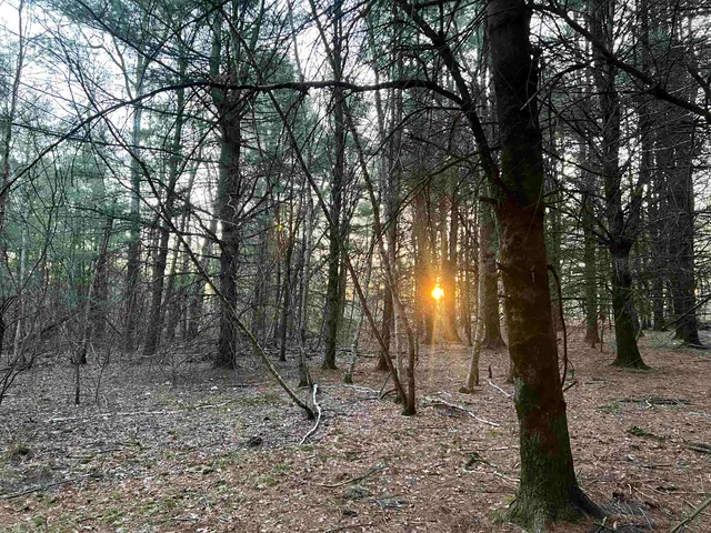 $98,500 | N8503 County Highway North, Neshkoro, WI 54960