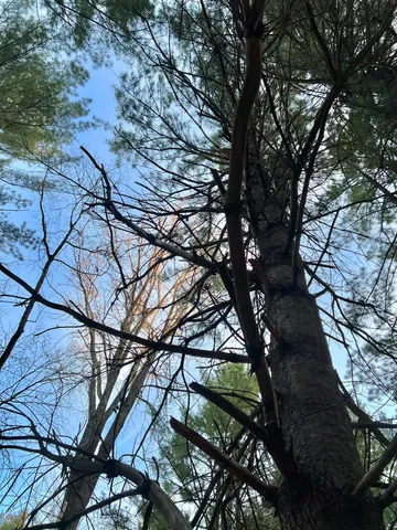 $98,500 | N8503 County Highway North, Neshkoro, WI 54960