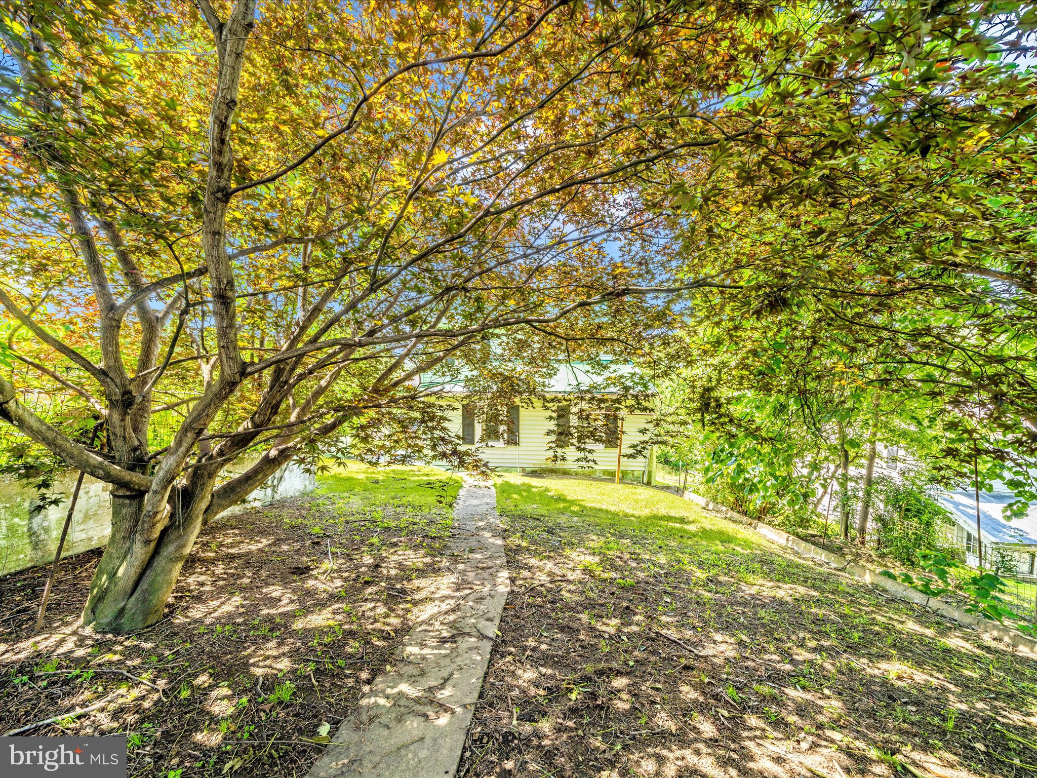 7 West B Street Brunswick, MD 21716 - Photo 42 of 48 Exterior Back