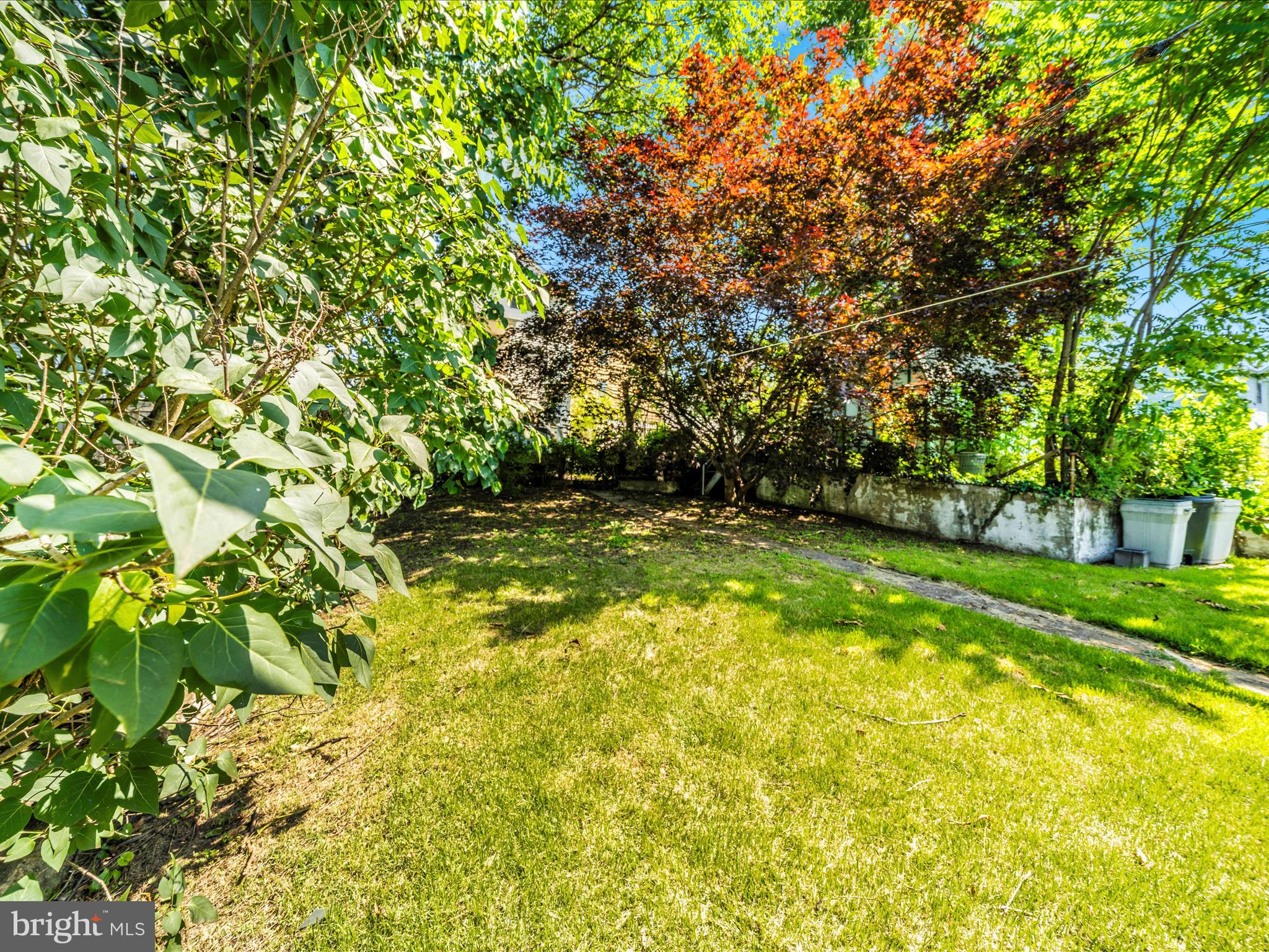 7 West B Street Brunswick, MD 21716 - Photo 45 of 48 Exterior Back