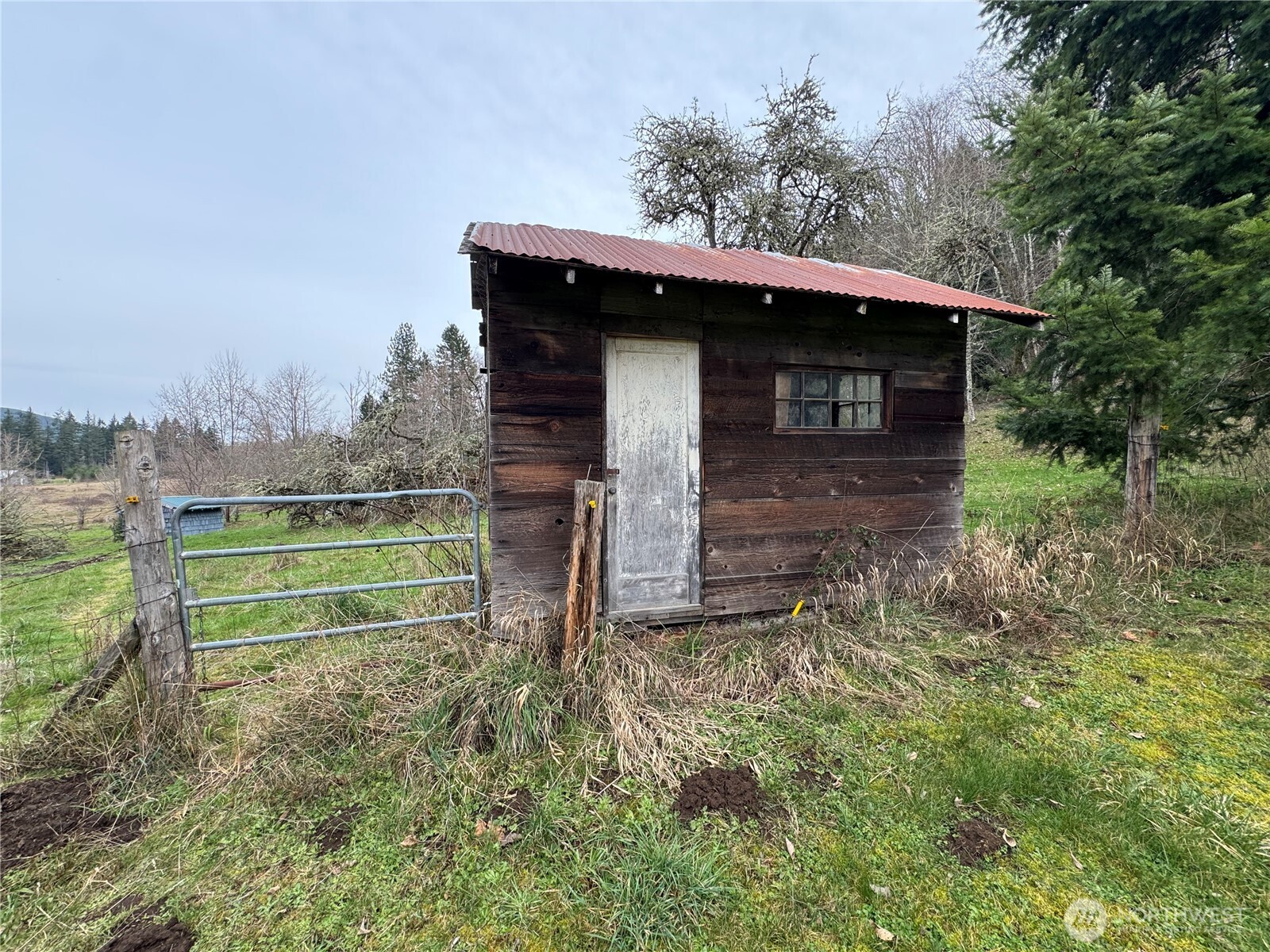 187 Wildcat Road Toutle, WA 98649 - Photo 16 of 21 a front view of a house with a yard