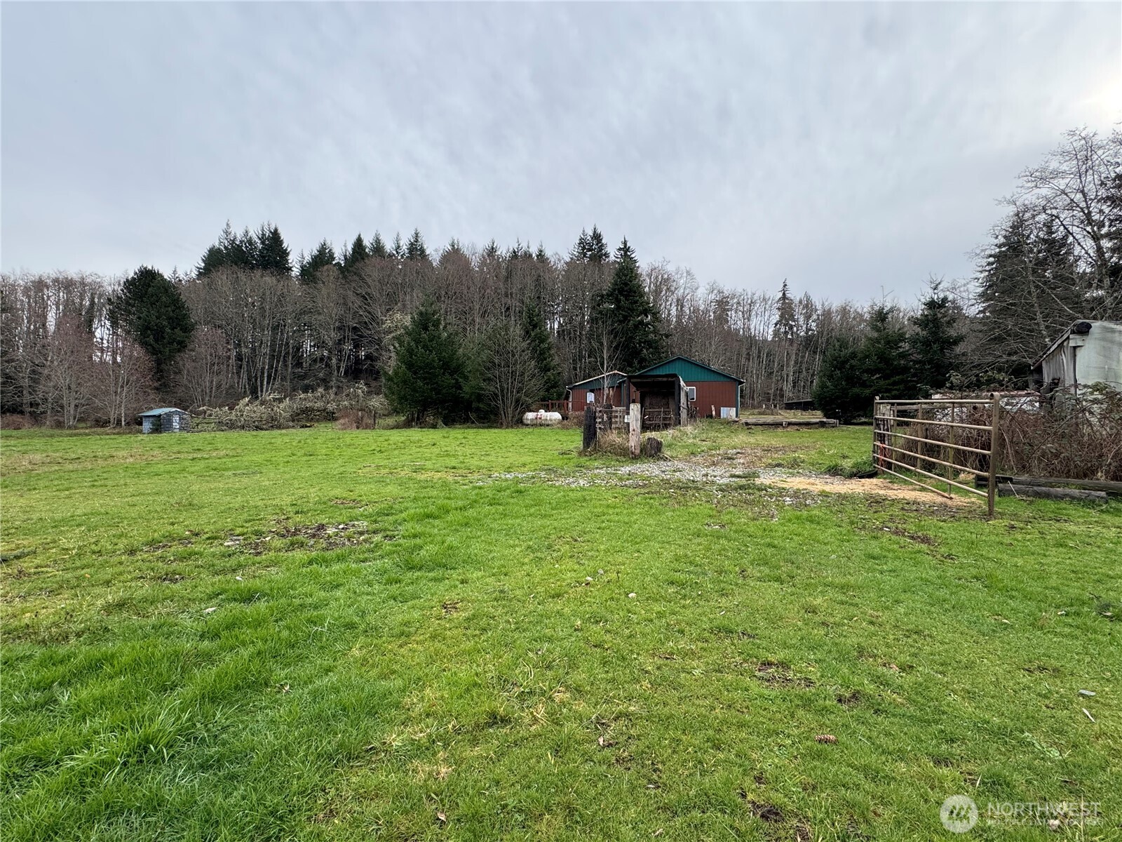 187 Wildcat Road Toutle, WA 98649 - Photo 18 of 21 a view of a park with large trees