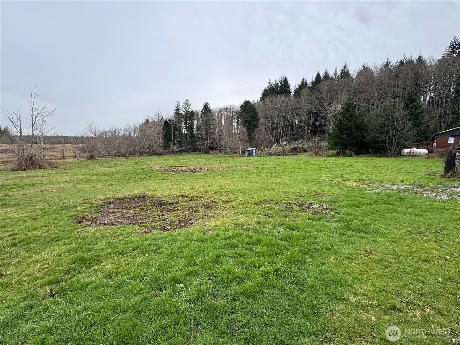 187 Wildcat Road Toutle, WA 98649 - Photo 19 of 21 a view of a green field