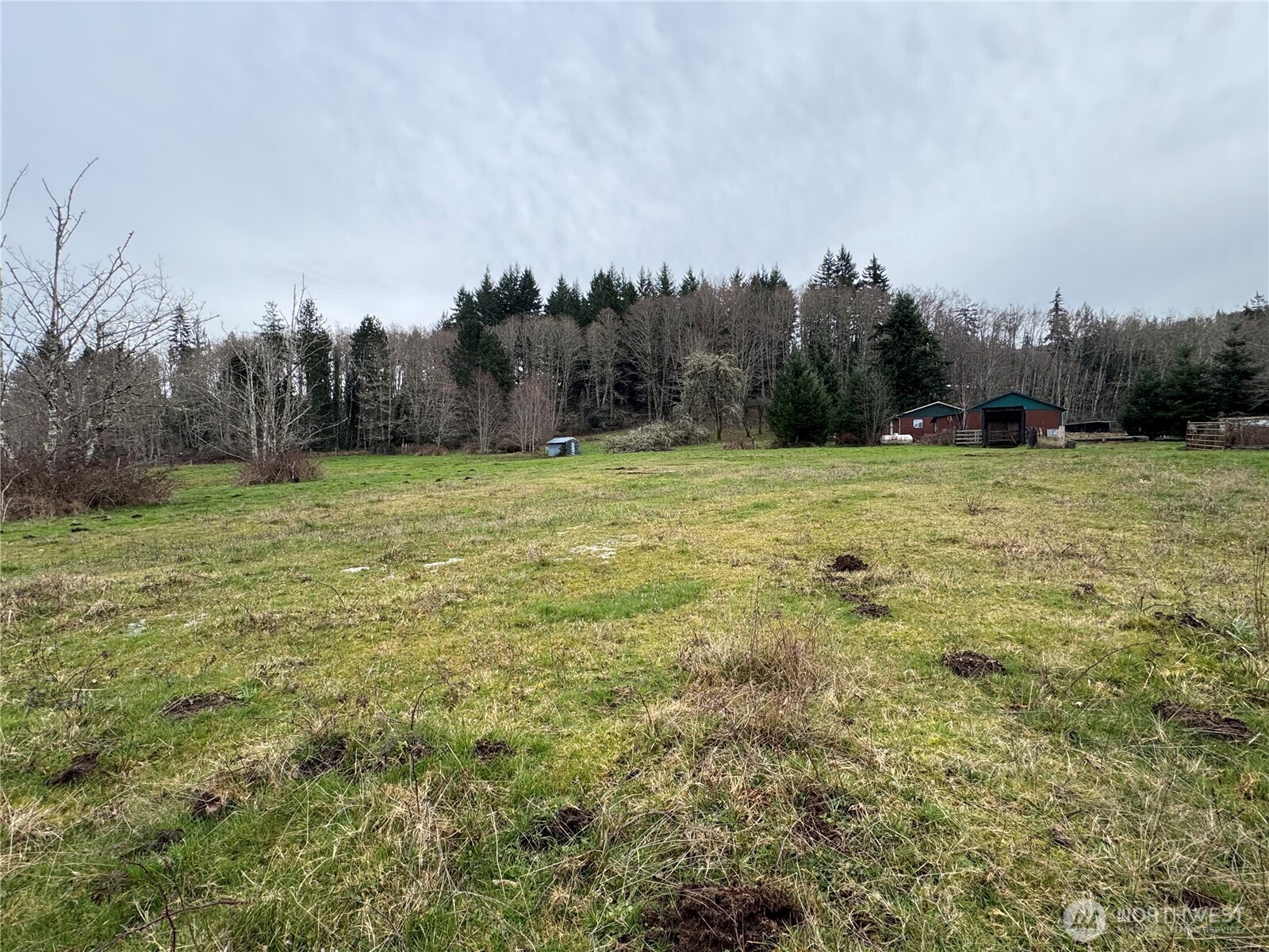 187 Wildcat Road Toutle, WA 98649 - Photo 20 of 21 a view of outdoor space with trees all around