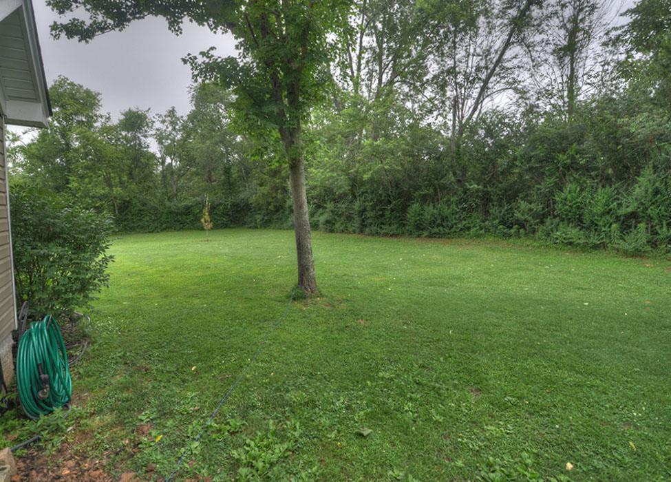 1103 Centerville Road Lebanon, TN 37087 - Photo 18 of 30 a view of a field with a tree