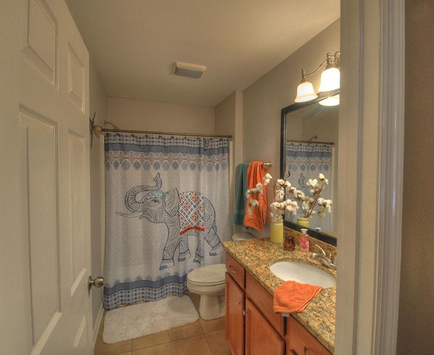 1103 Centerville Road Lebanon, TN 37087 - Photo 23 of 30 a bathroom with a granite countertop sink a toilet and shower