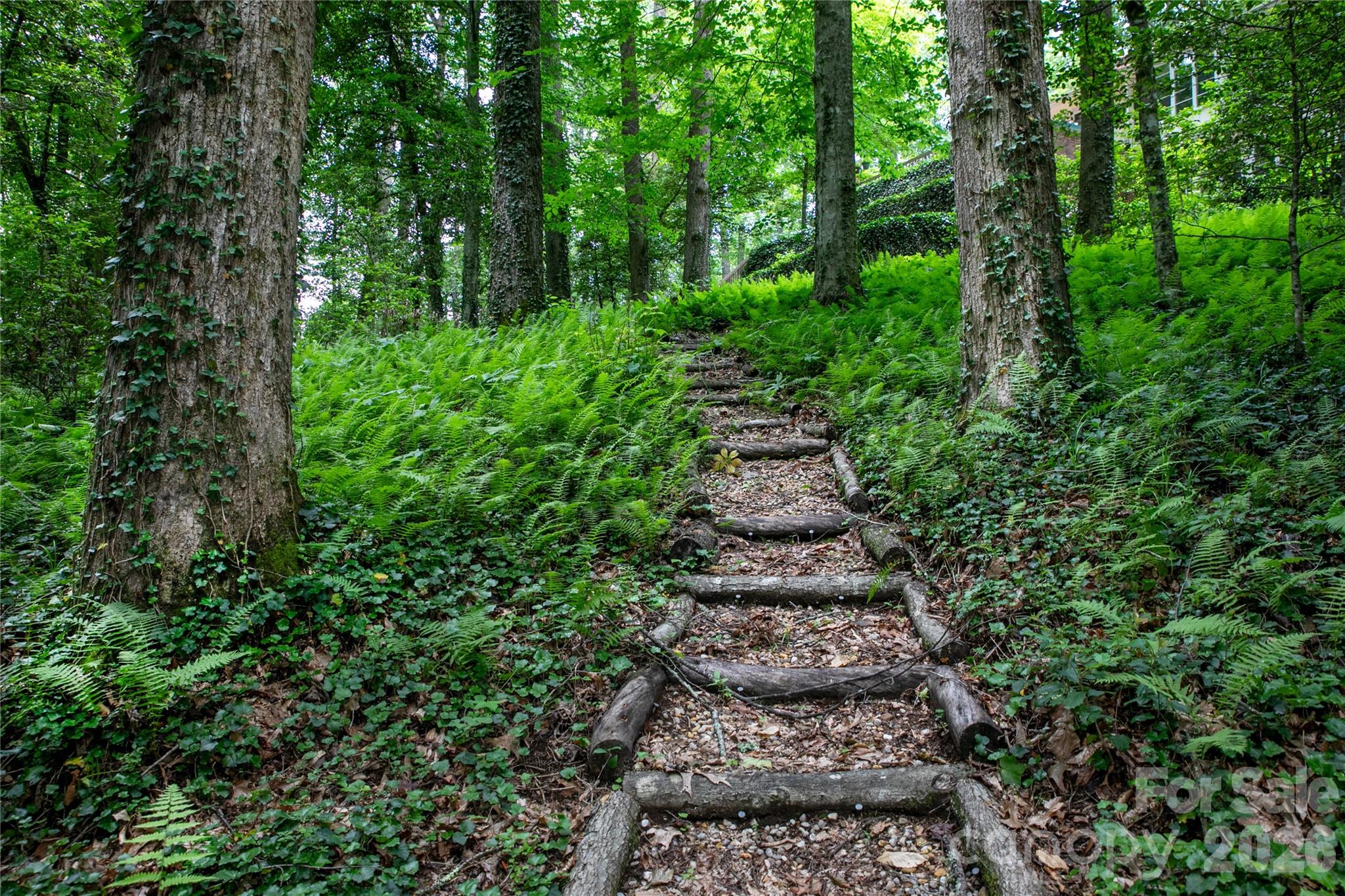 168 River Ridge Road Brevard, NC 28712 - Photo 46 of 48