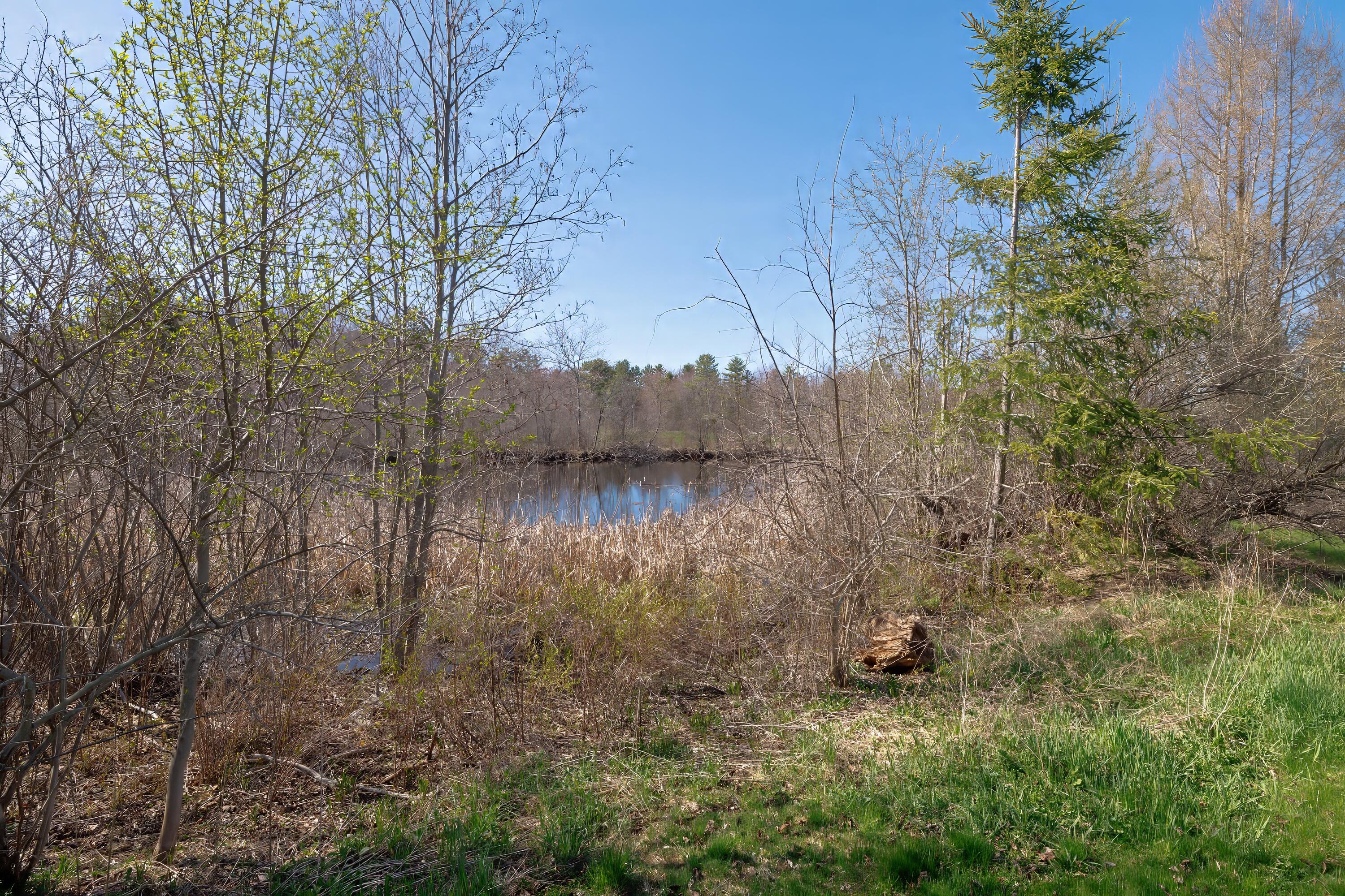 370 Christian Ridge Road Ellsworth, ME 04605 - Photo 72 of 95