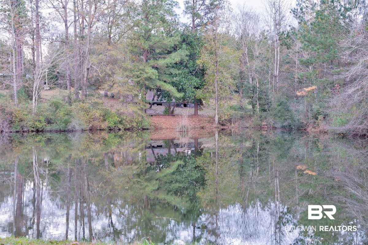 559 Buddy Lake Road Brewton, AL 36426 - Photo 31 of 32