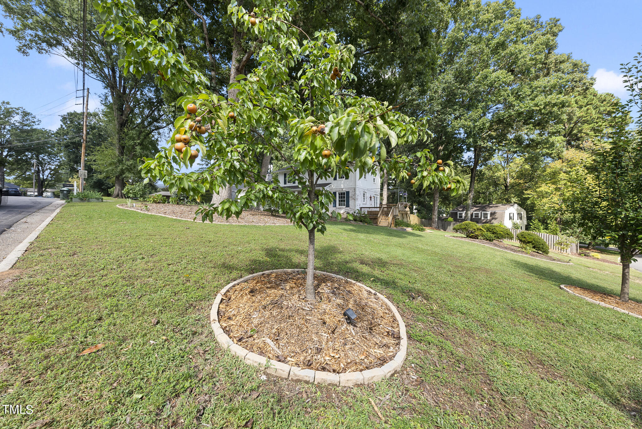 4900 Latimer Road Raleigh, NC 27609 - Photo 8 of 46 Rasberry, Blueberry, Peaches and Pears On This Property
