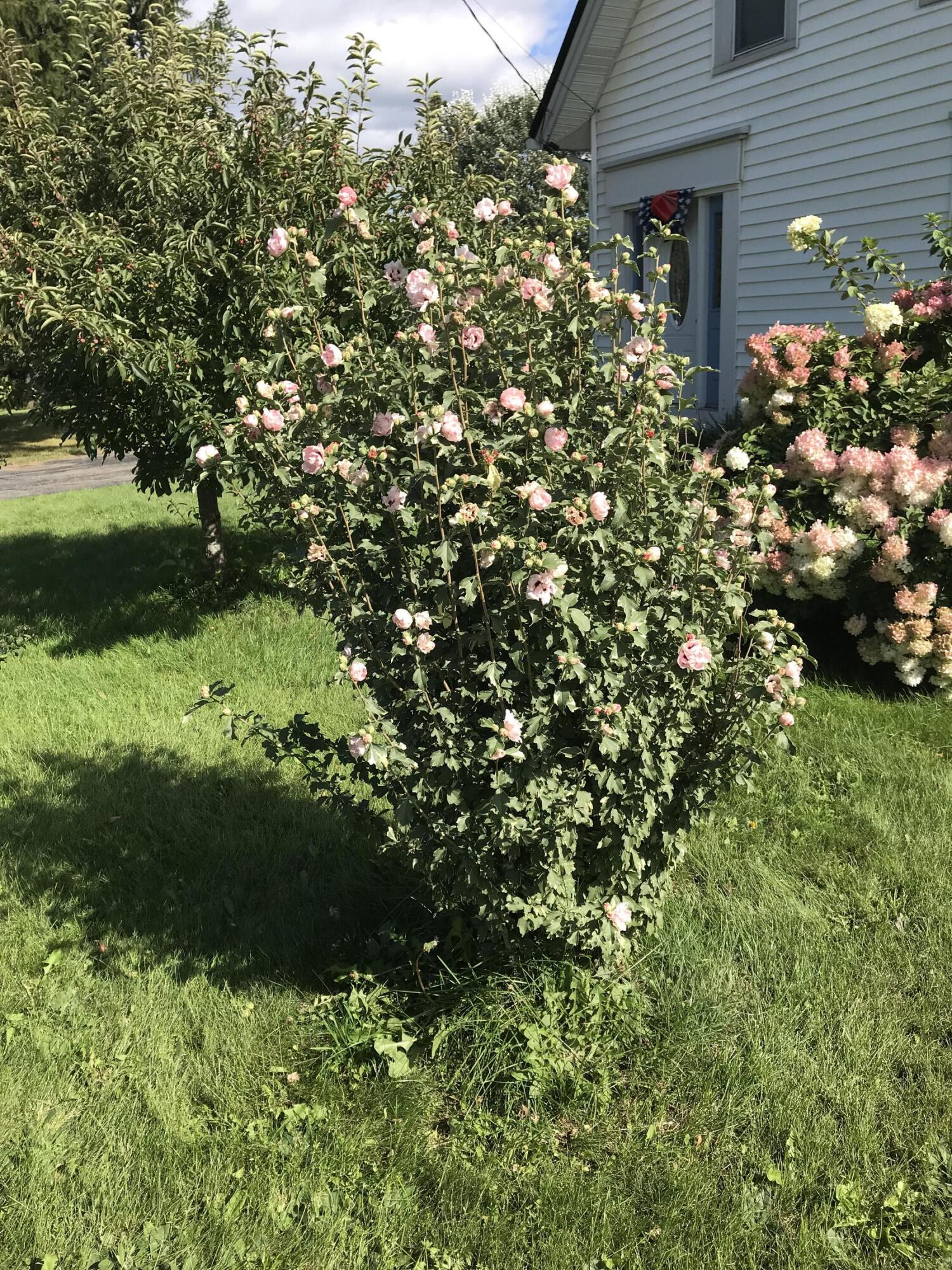 756 Bangor Road Troy, ME 04987 - Photo 13 of 61 IMG_0481