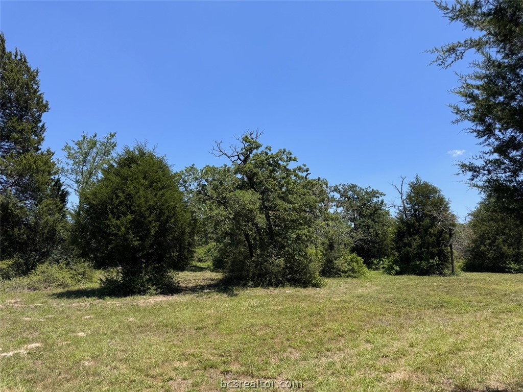 3454 Co Road Marquez, TX 77865 - Photo 9 of 35 a view of a field with trees in the background