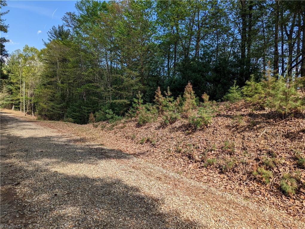 Tbd Sutter's Ridge Road, Unit LOT 94 McGrady, NC 28649 - Photo 4 of 9
