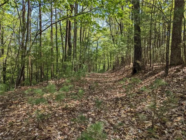 $8,500 | Tbd Sutter's Ridge Road, Unit LOT 94, McGrady, NC 28649