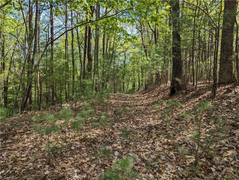 Tbd Sutter's Ridge Road, Unit LOT 94 McGrady, NC 28649 - Photo 5 of 9