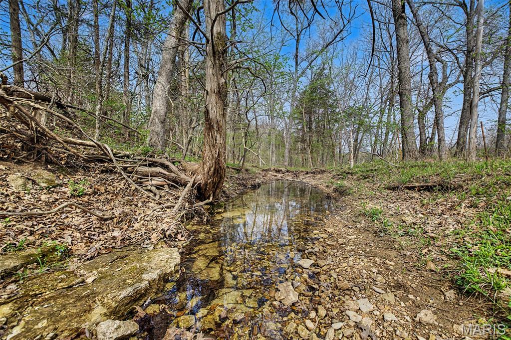 6388 Salamone Road Cedar Hill, MO 63016 - Photo 63 of 76