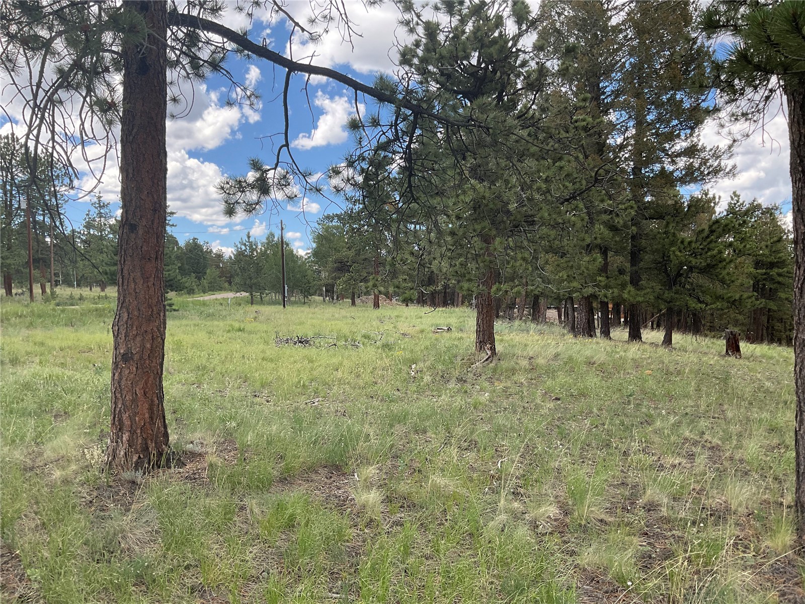 1970 Singletree Road Hartsel, CO 80449 - Photo 8 of 17 Gallery Image 8
